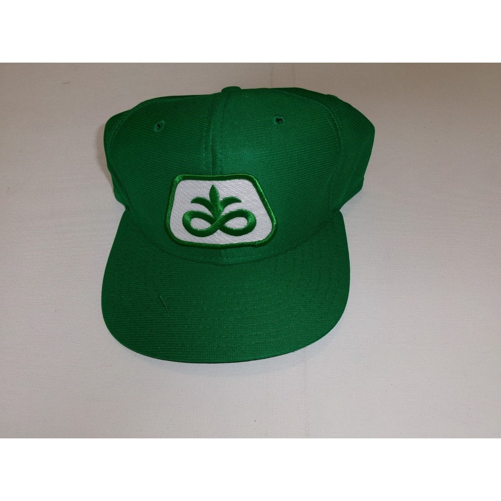 PIONEER SEED NEW ERA USA 90s USA MADE SNAPBACK HAT CAP VINTAGE M2